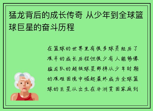 猛龙背后的成长传奇 从少年到全球篮球巨星的奋斗历程